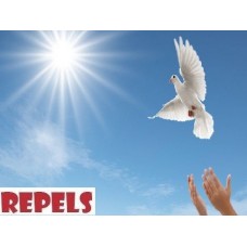 Répulsif Anti Pigeons